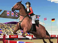 Horse Jumping Show 3D image