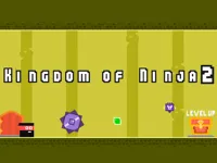 Kingdom of Ninja 2 image